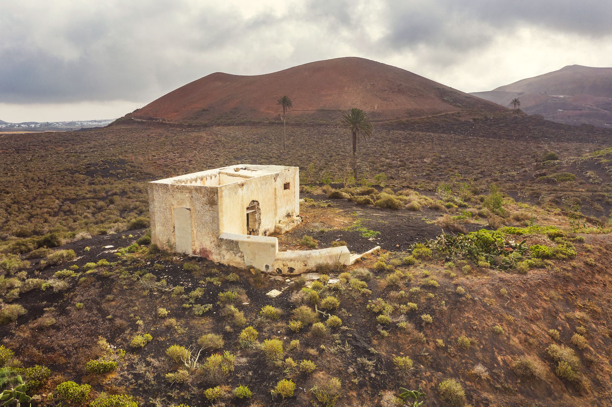 Weißes Steinhaus in vulkanischer Landschaft mit Palmen, Lanzarote