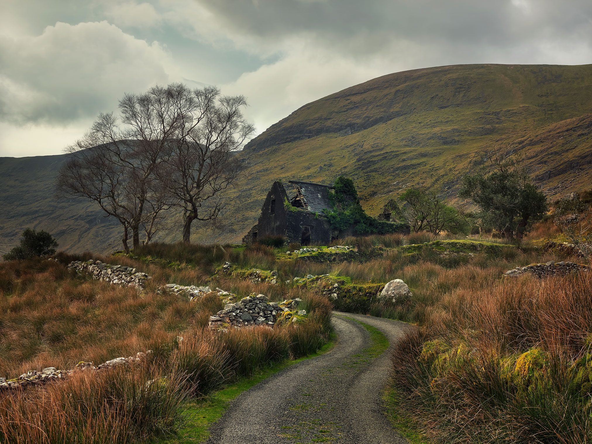 Zweistöckiges Haus mit blauer Tür hinter einem alten Steintor, Irland