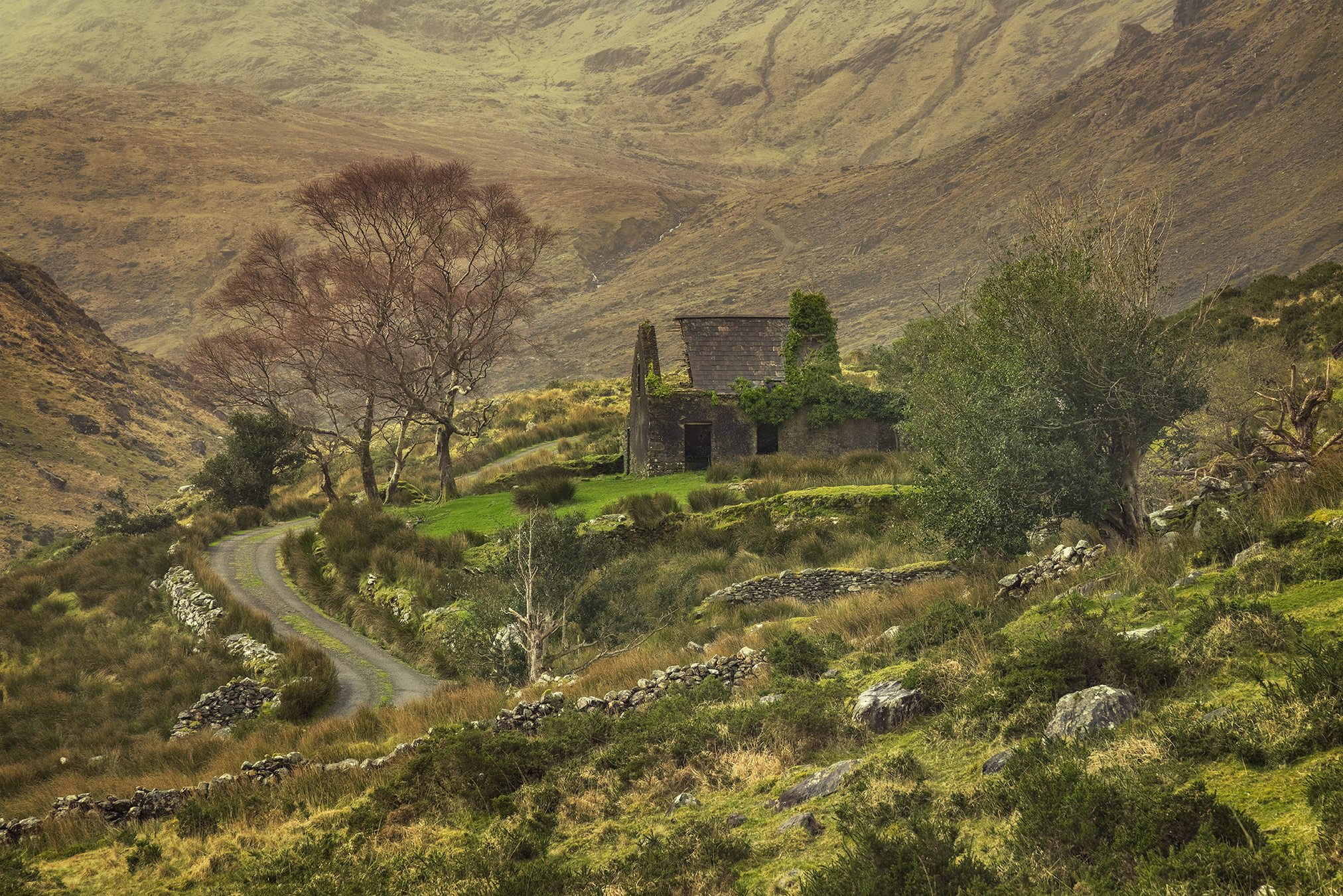 Ruine mit eingestürztem Dach in einem grünen Bergtal, Irland