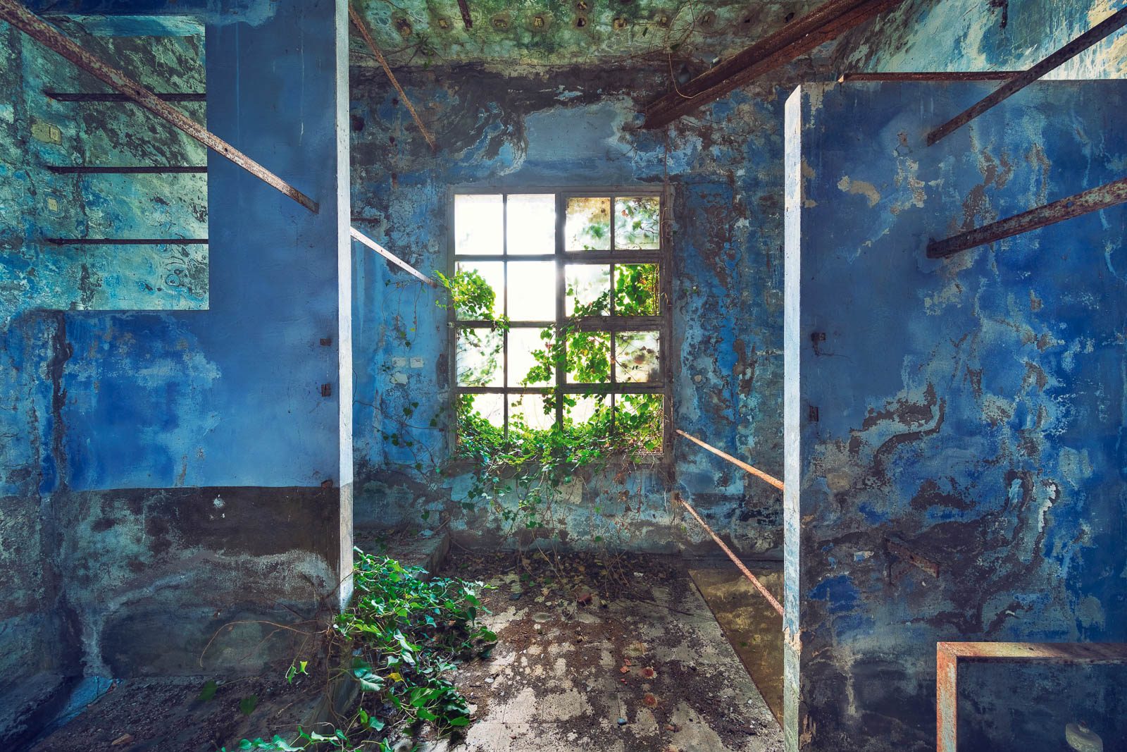 Blue-painted room with an ivy-covered window in an industrial monument in Italy