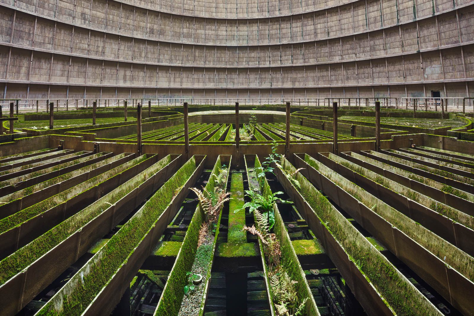 Moss-covered basin inside an abandoned cooling tower in Belgium