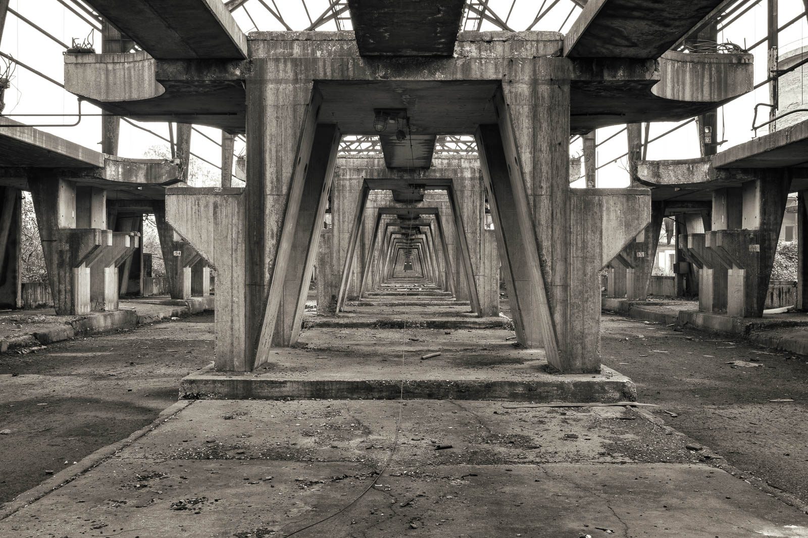 A-shaped concrete supports beneath a skeletal roof in the former steelworks of Porto Marghera in Italy