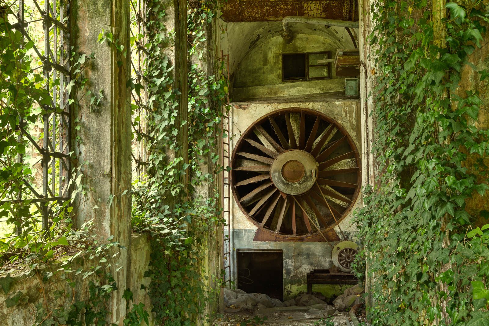 Verrostetes Turbinenrad hinter Efeu an einem Wasserkraftwerk in Italien