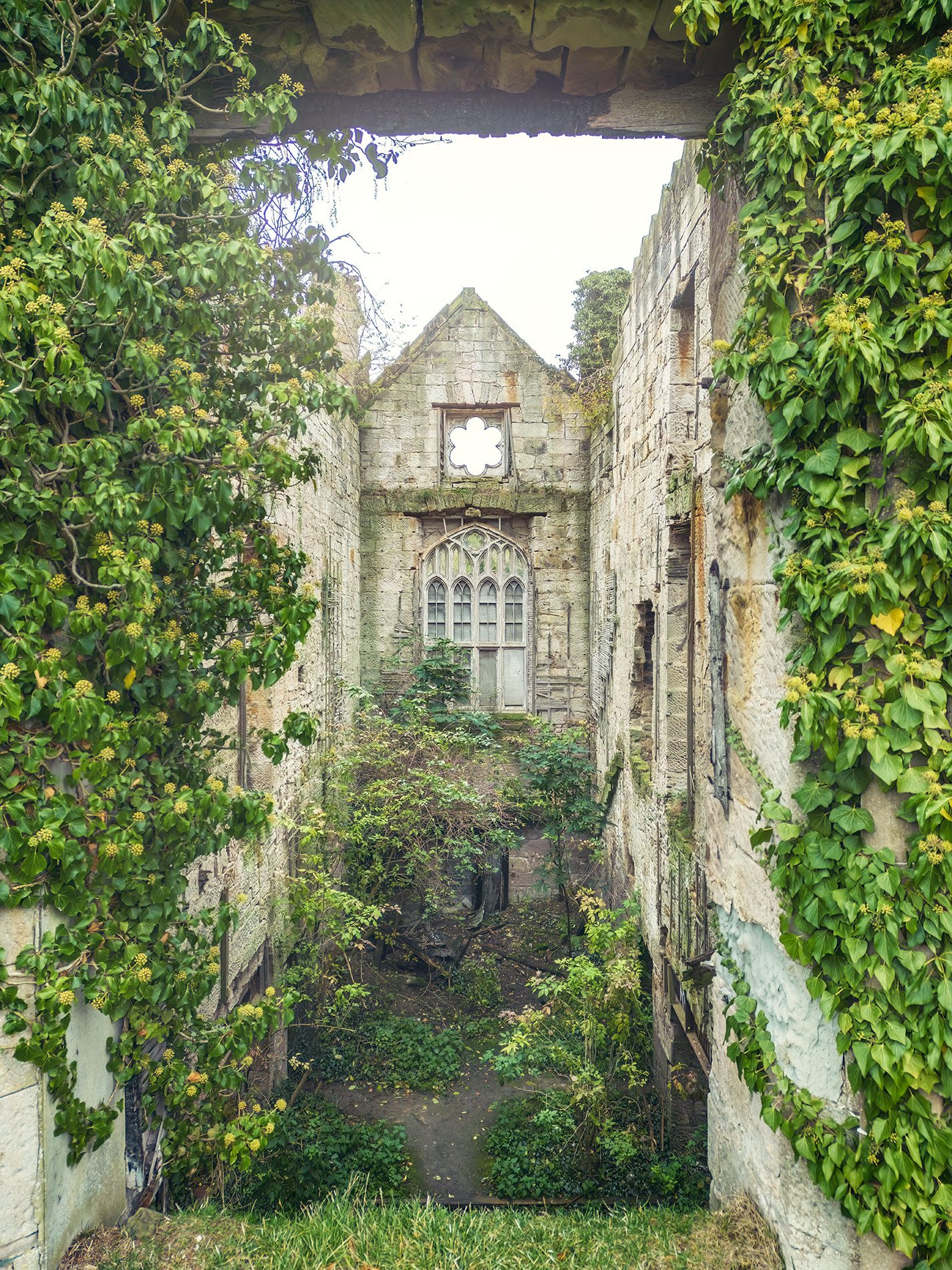 Blick durch efeuumranktes Mauerfenster auf gotische Fassade, Schottland