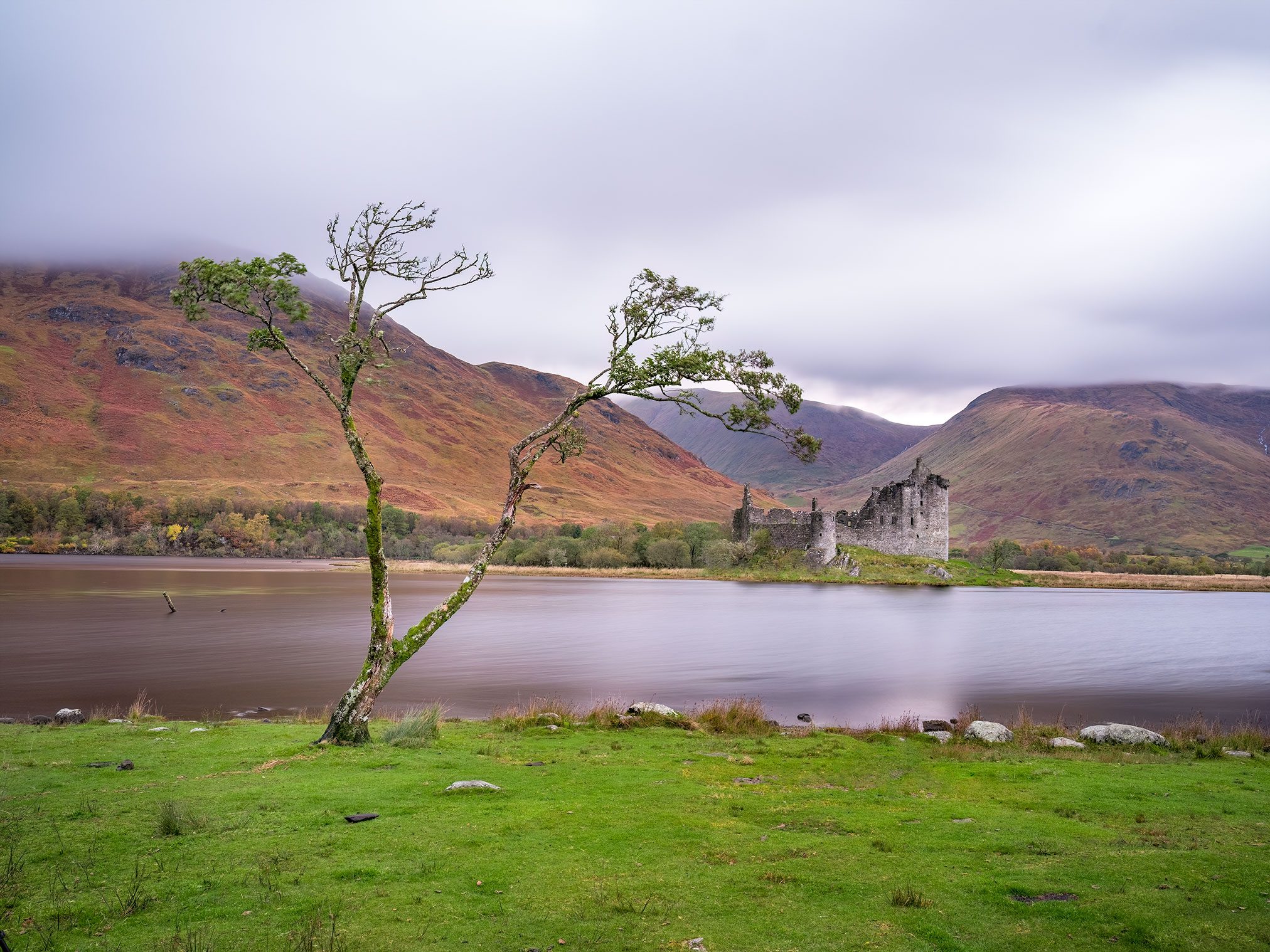 Turmruine am Seeufer mit windschiefem Baum, Schottland