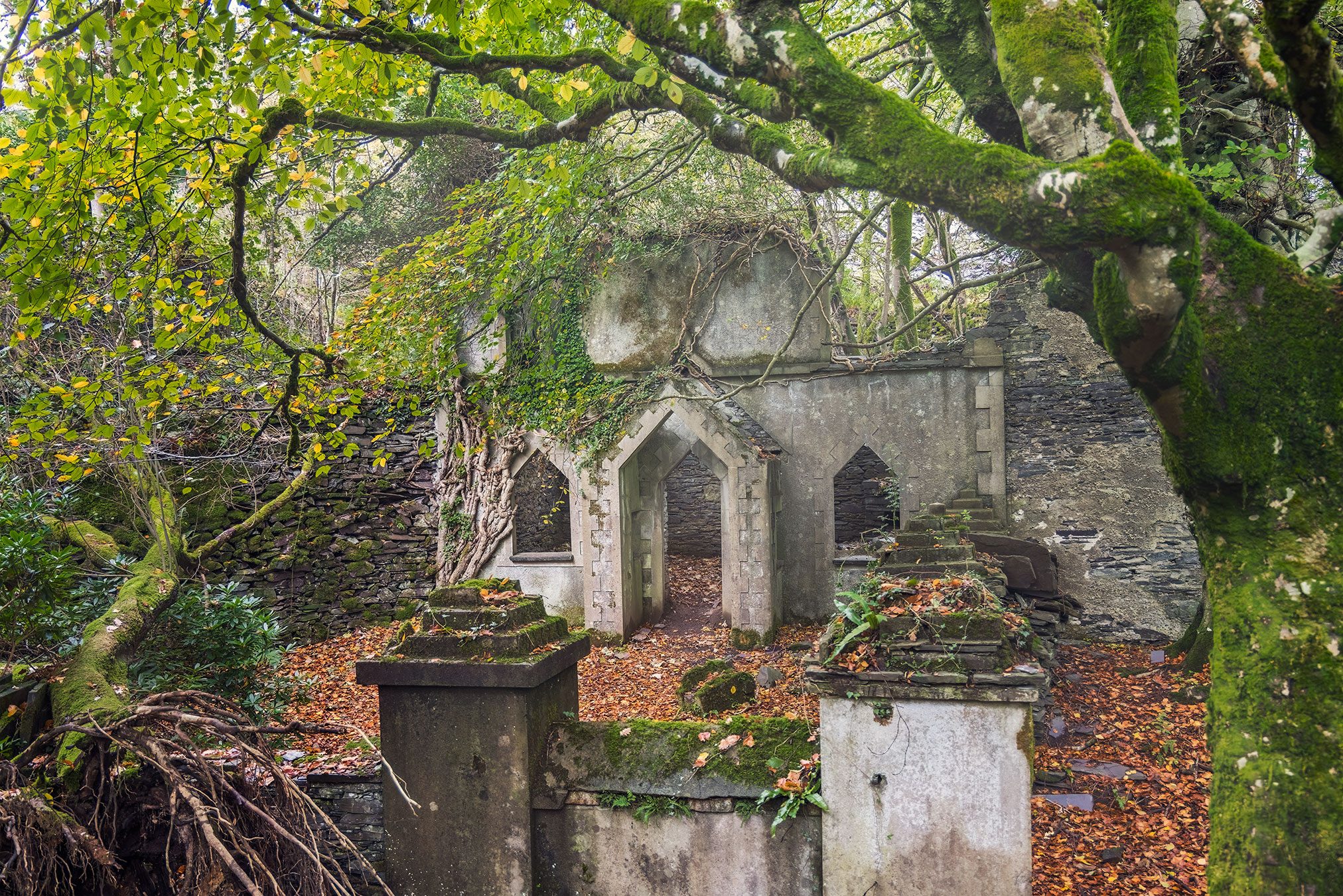 Small ruin with Gothic pointed arch openings in a forest, Wales