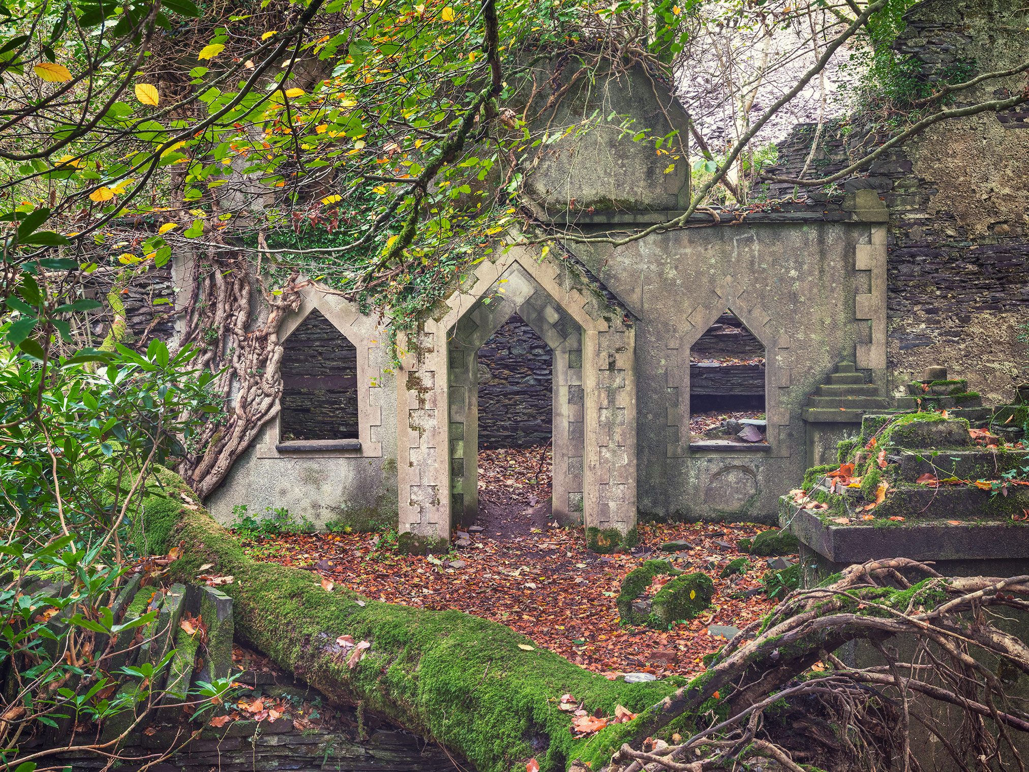 Gothic gatehouse with pointed arches in a forest, Wales
