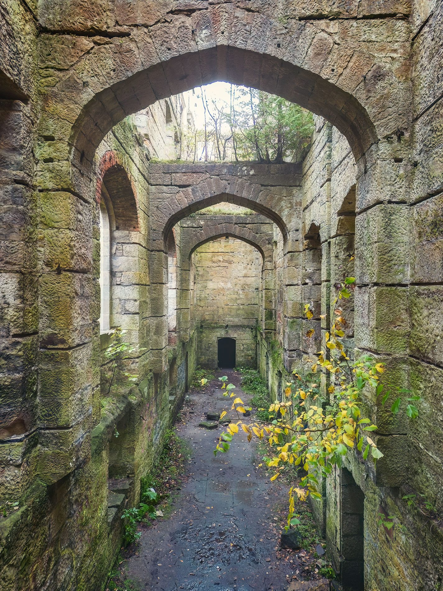 Vaulted passage with pointed arches inside a ruin, Scotland