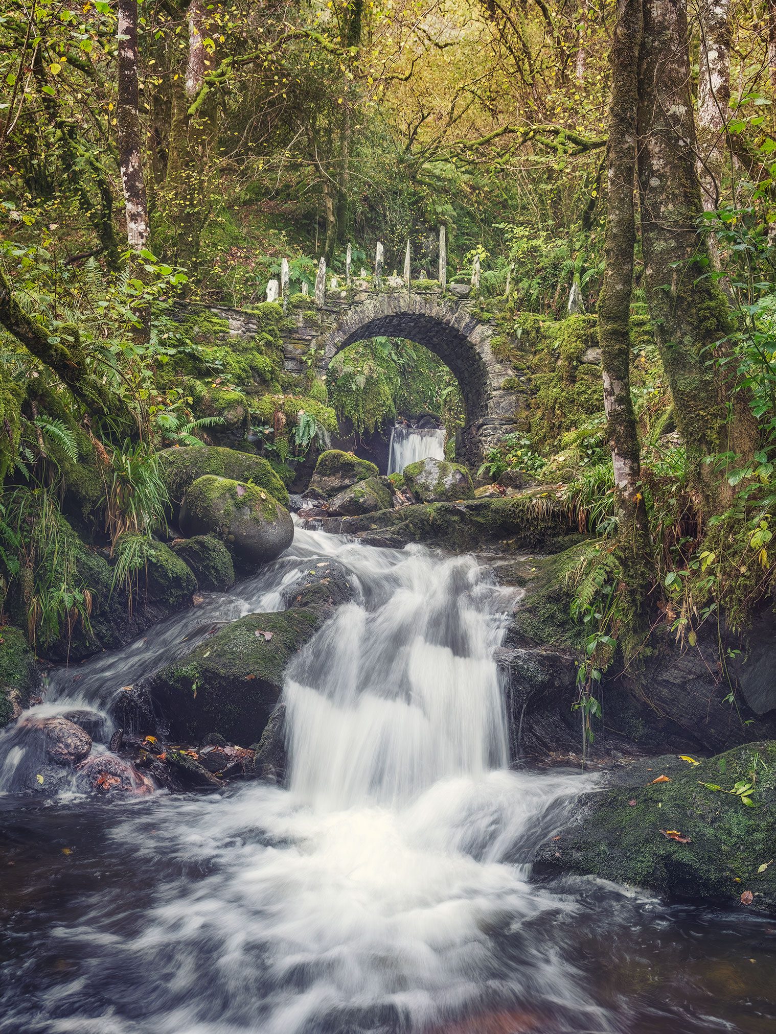 Stone bridge over a waterfall in a forest, Scotland