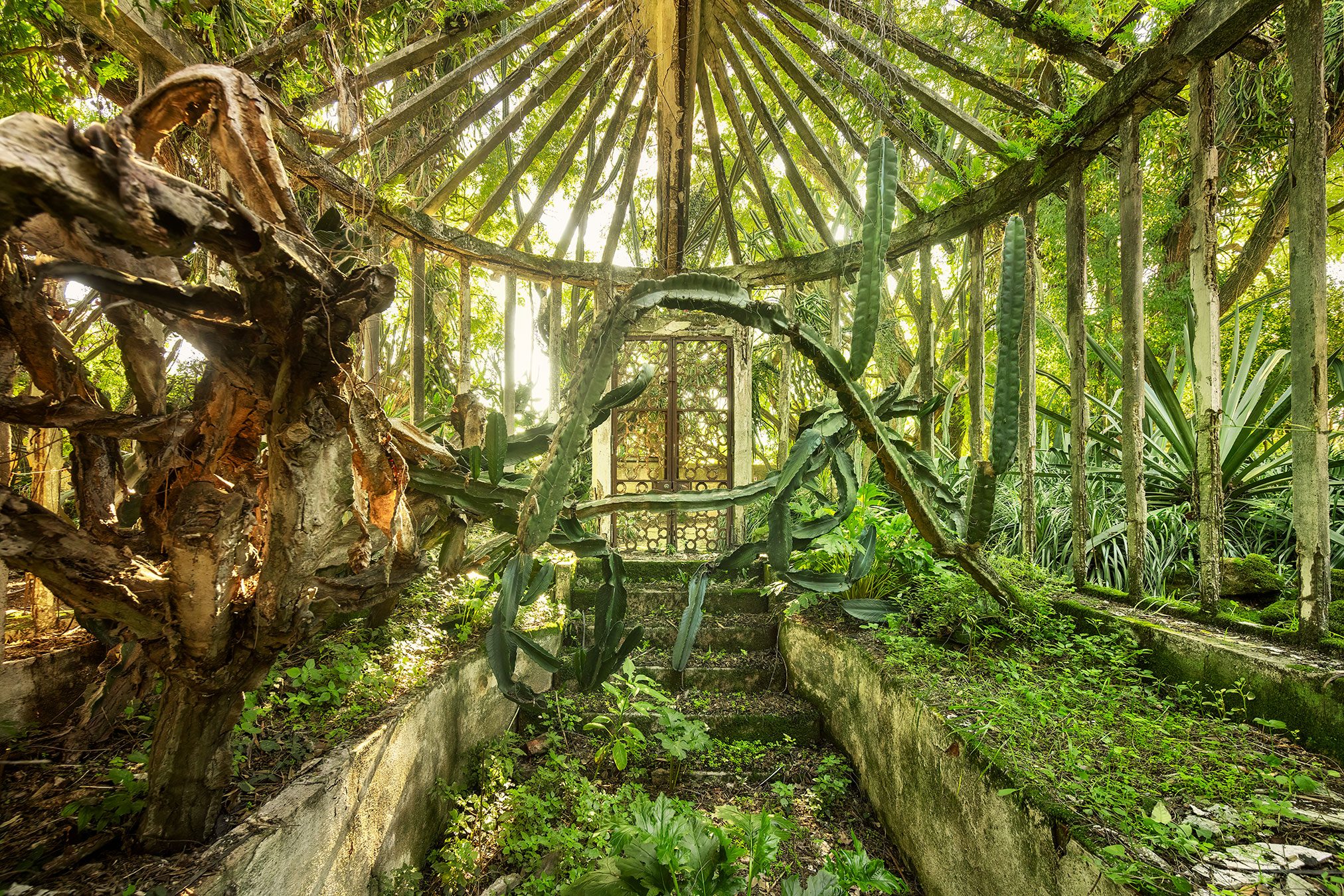 Radial wooden framework with cacti in an overgrown garden in Portugal