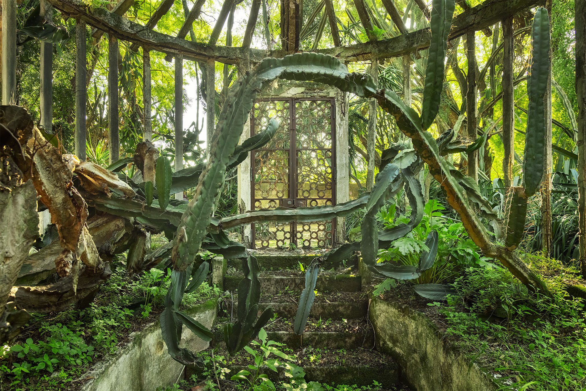 Kakteenranken vor einer schmiedeeisernen Tür in einem verwunschenen Garten in Portugal