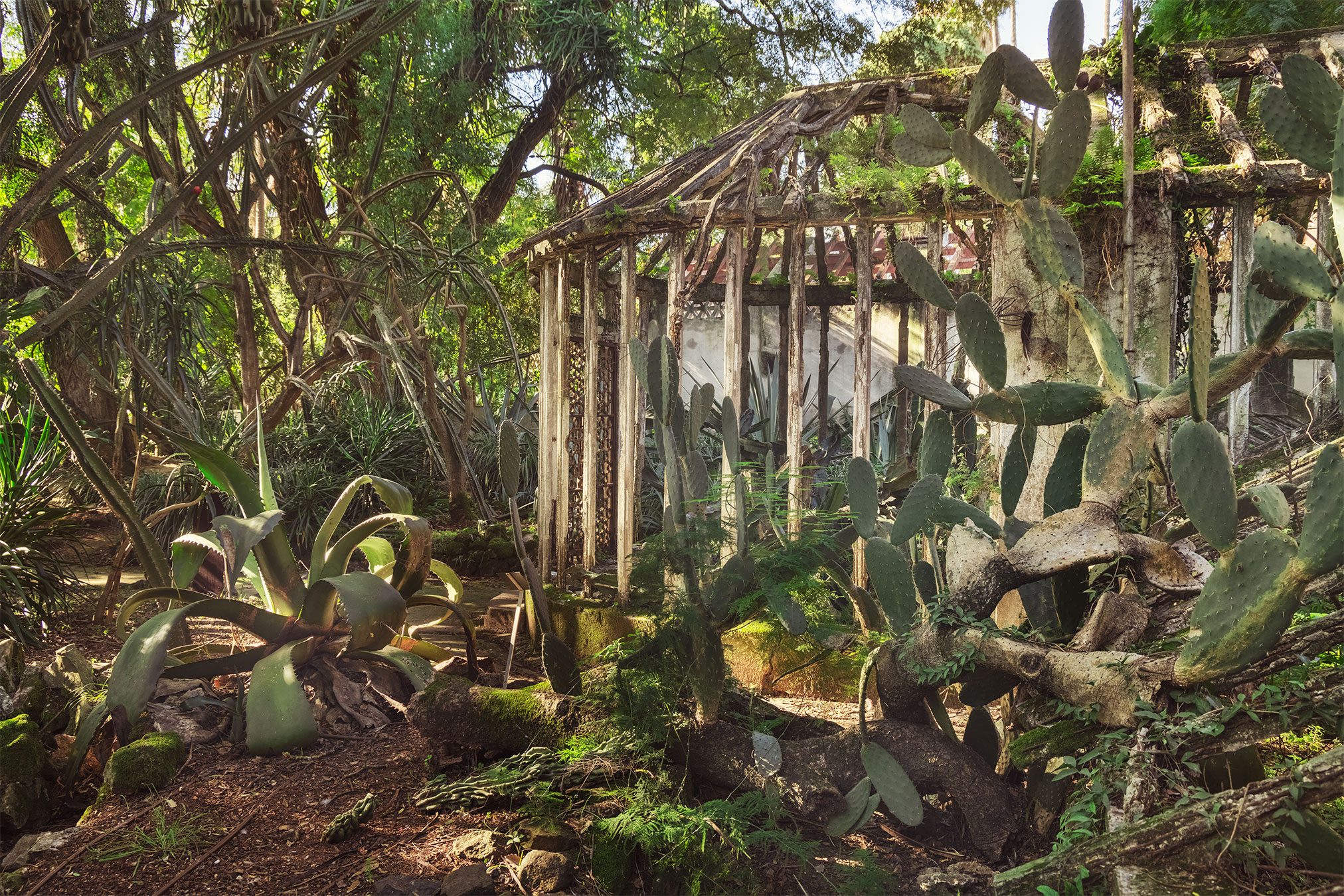 Verfallener Pavillon aus Holz zwischen Kakteen und Agaven in Portugal