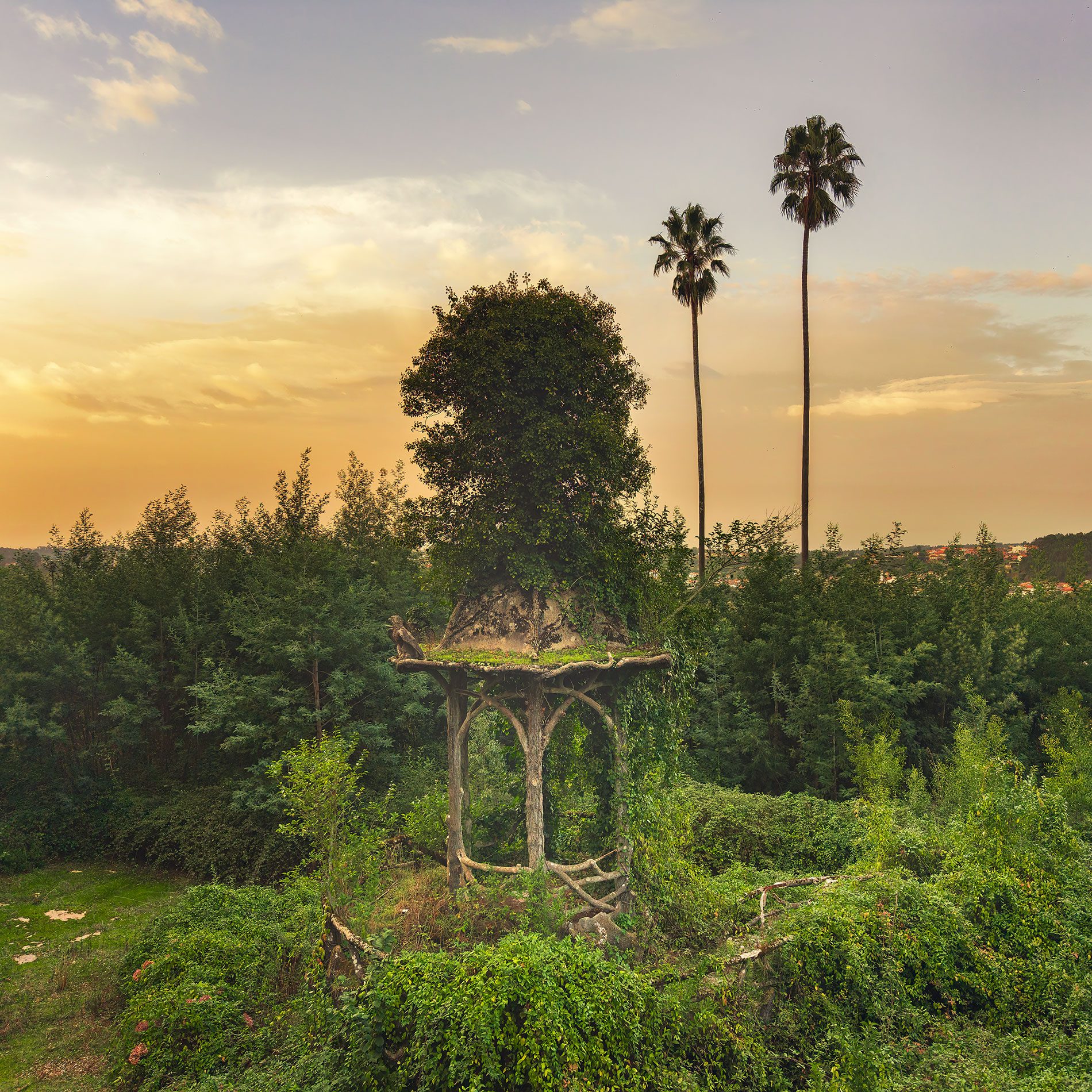 Pavilion beneath a tree canopy in a forgotten garden in Portugal