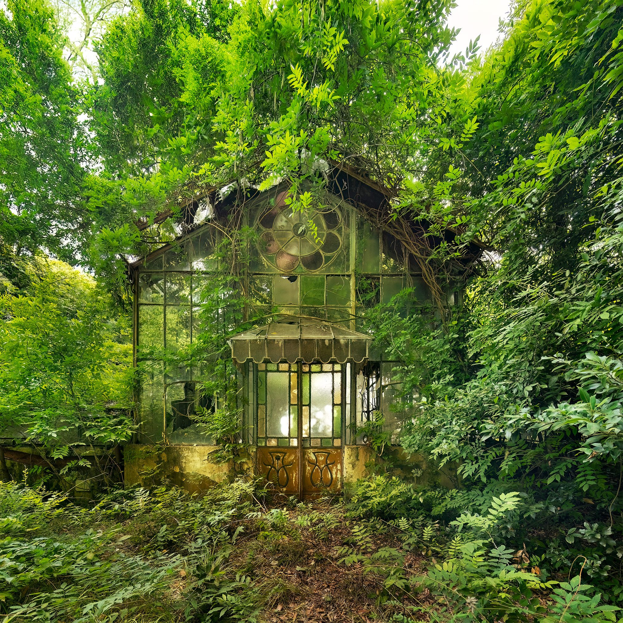 Tree covered greenhouse with a rose window in Italy