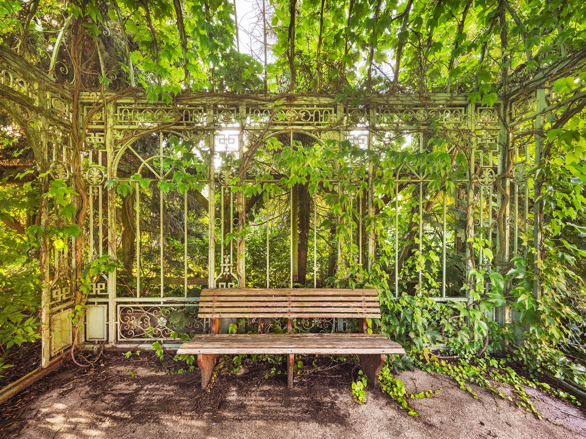 Ivy covered wrought iron garden pavilion with a bench in Germany