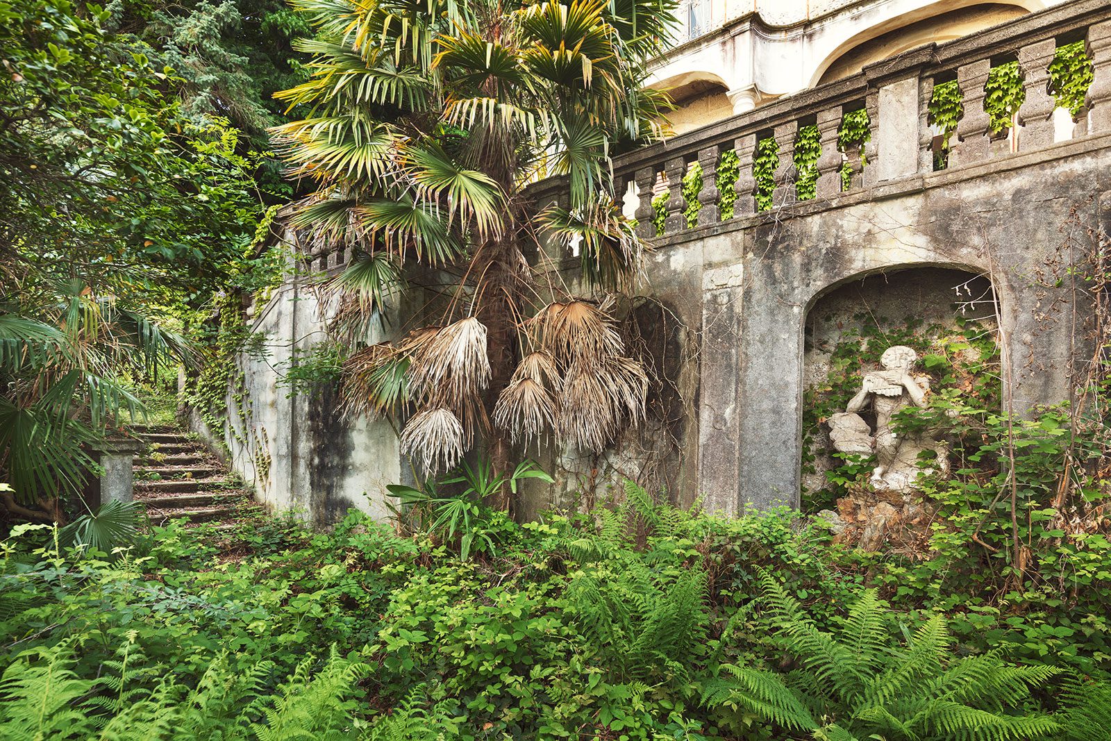Palme und Farn neben einer Balustrade mit Statuennische in Italien