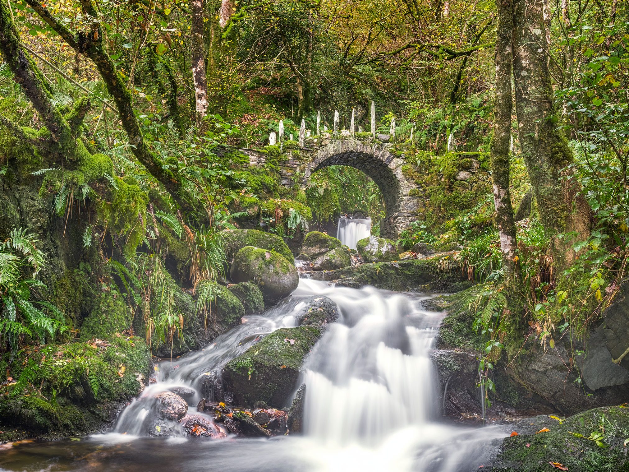 Moss covered stone arch bridge over a stream in the forest, Scotland
