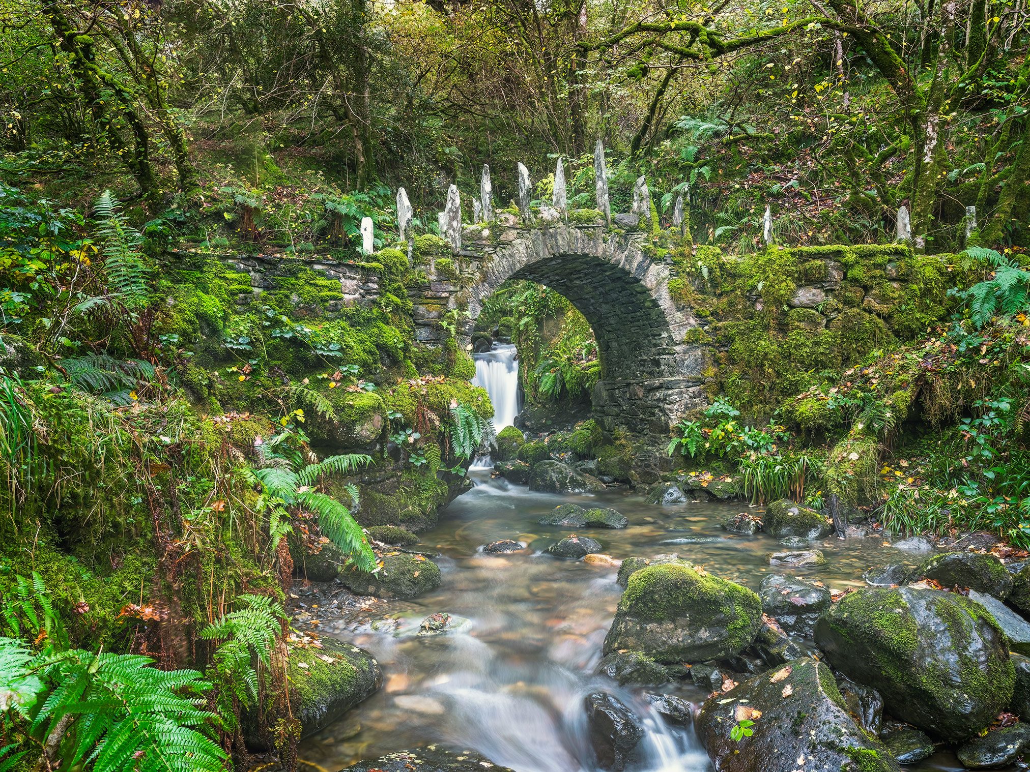 Moosbewachsene Steinbrücke über einem Wasserfall, Schottland