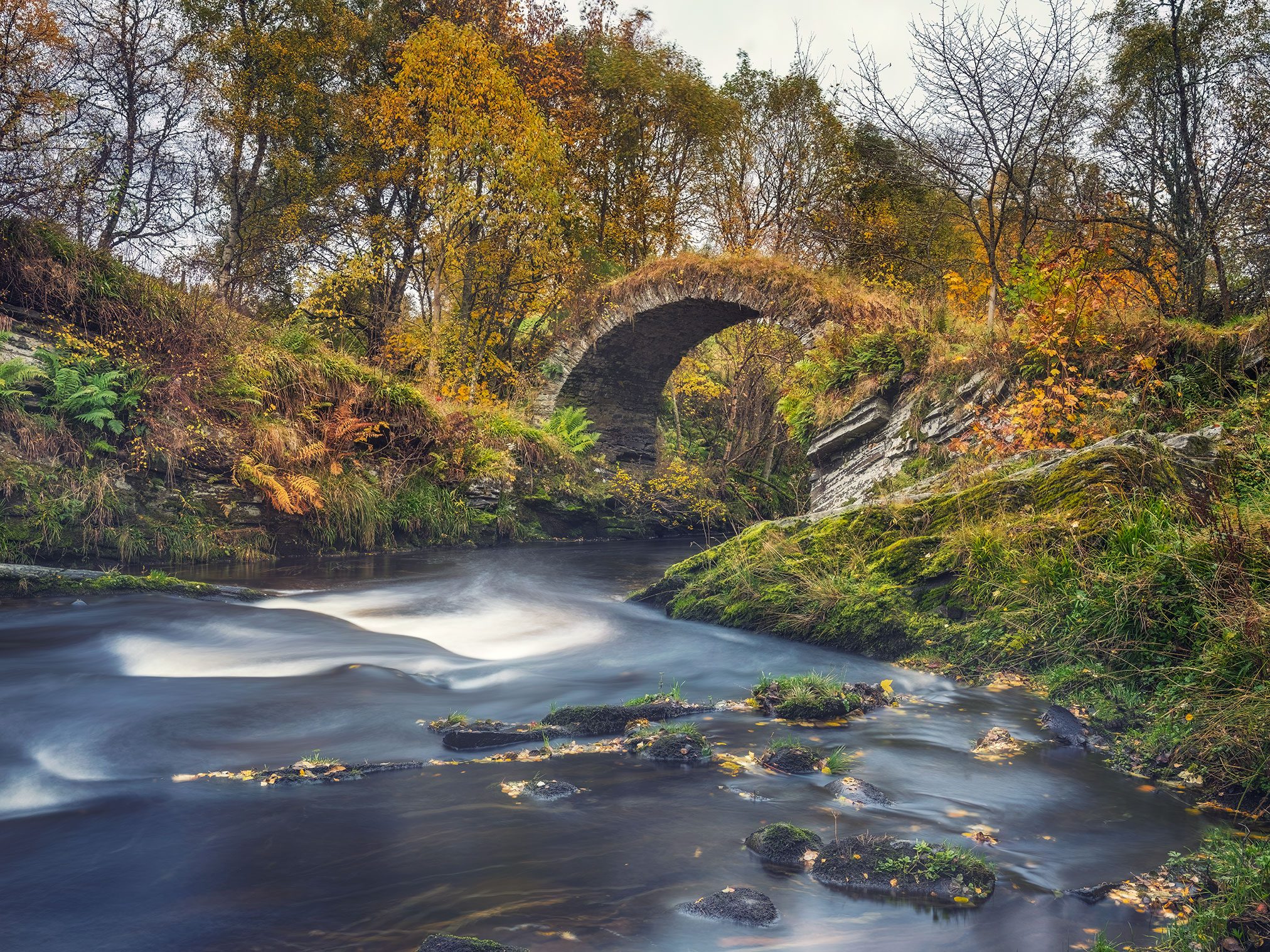 Stone arch bridge over a stream in an autumn forest, Scotland