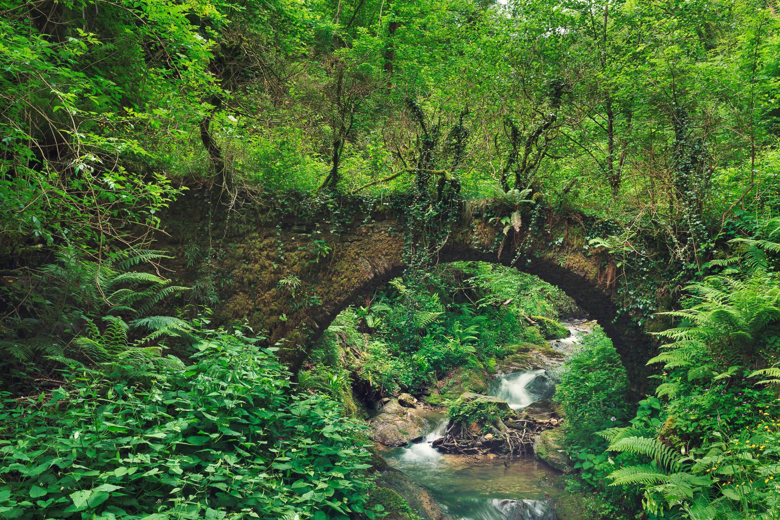 Round stone arch over a stream in a mill valley, Tuscany, Italy