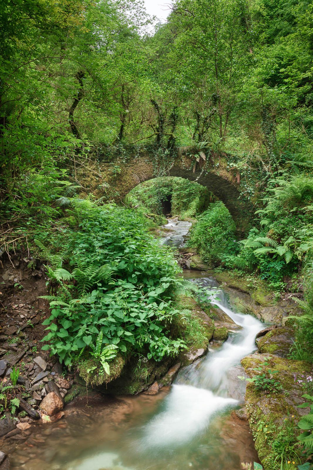 Stone arch bridge over a stream in a mill valley, Tuscany, Italy