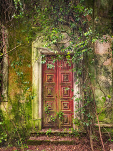 Red door, overgrown, in a abandoned monastery in Portugal