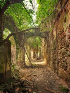 Inner yard in abandoned monastery in Portugal