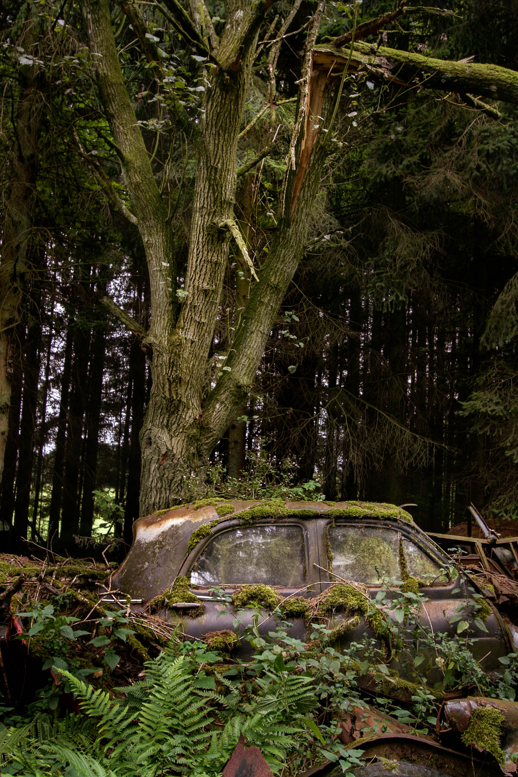 Autofriedhof von Châtillon, Belgien